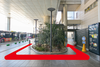 �������ɑ傫������